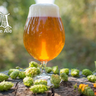 Οι Μπύρες IPA: Μια Εξερεύνηση στη Γεύση και την Ιστορία